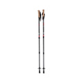 Mountainsmith Andesite NEO Carbon Fiber Trekking Poles
