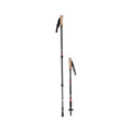 Mountainsmith Andesite NEO Carbon Fiber Trekking Poles