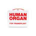 Human Organ Novelty Fun Box