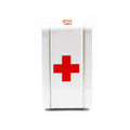 Human Organ Novelty Fun Box
