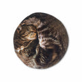 Cozy Cat Hot Water Bottle