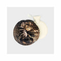 Cozy Cat Hot Water Bottle