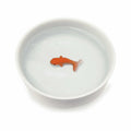 Goldfish Cat Bowl