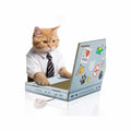 Scratch Laptop Cat Toy