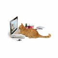 Scratch Laptop Cat Toy