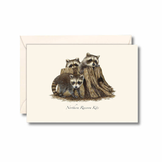Earth Sky + Water Raccoon Kits Notecards