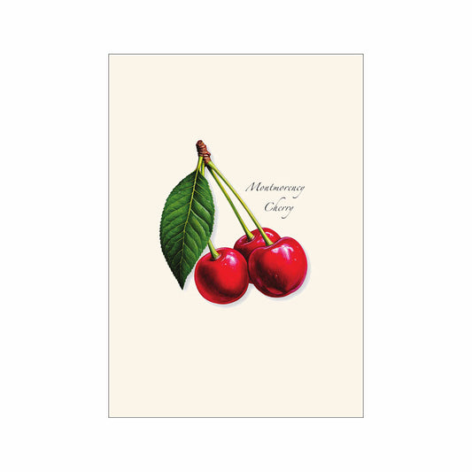 Earth Sky + Water Montmorency Cherry Notecards