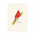 Earth Sky + Water Cardinal On Witch Hazel Notecard Set