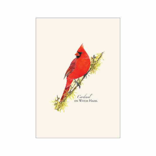 Earth Sky + Water Cardinal On Witch Hazel Notecard Set
