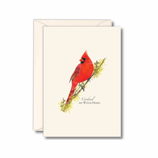 Earth Sky + Water Cardinal On Witch Hazel Notecard Set