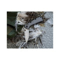 Buck Knives 790 Mini Range Elite Knife  Gray