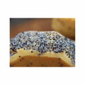 Lemon Poppyseed Goat Milk Soap
