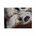Coffee Goat Milk Soap