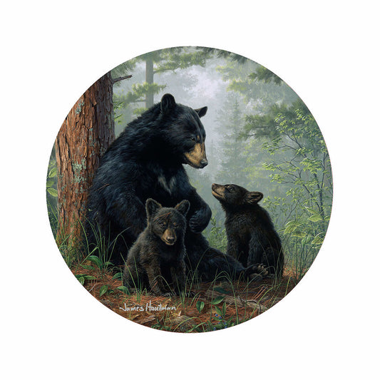 Silicone Non-Slip Jar Opener Bear Family