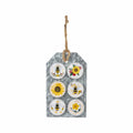 Ganz Honeycomb & Bee Magnets