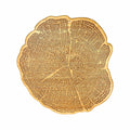 Totally Bamboo Tree of Life Engraved Serving Board
