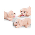 Toysmith Evi Love Puppy Doctor Toy