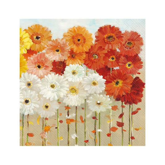 Boston International Fall Daisies Cocktail Napkins