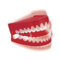 Chattering Teeth Toy