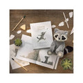 Compedium Chasing Dream Raccoon Plush Toy